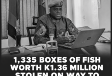 1,335 Boxes of Fish Worth K1.36 Million Stolen on Way to Kasumbalesa