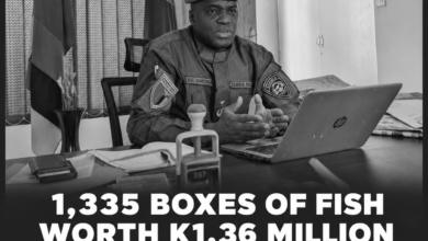 1,335 Boxes of Fish Worth K1.36 Million Stolen on Way to Kasumbalesa