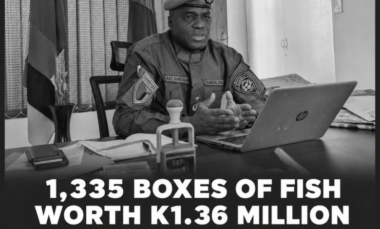 1,335 Boxes of Fish Worth K1.36 Million Stolen on Way to Kasumbalesa