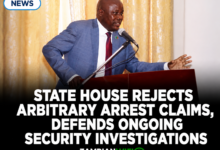 Hamasaka Says Political Status Does Not Grant Immunity From Criminal Investigations