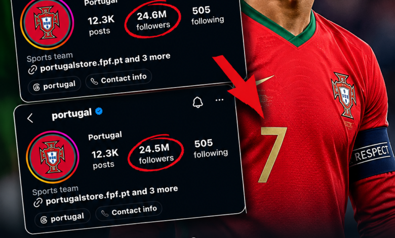 Portugal Instagram Loses Over 370,000 Followers After Ronaldo Exit